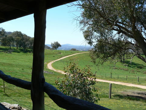 Gaddleen Grove Cottages - Tourism Noosa 1