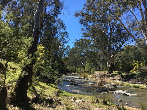 Highfield Farm And Woodland Bush Campsites - Tourism Noosa 0