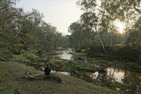 Highfield Farm And Woodland Bush Campsites - Tourism Noosa 2