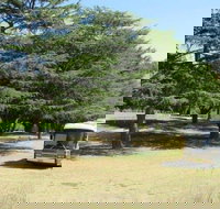 Joe O'Connor Park - Tourism Noosa