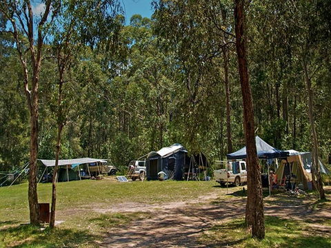 Korsmans Landing Campground And Picnic Area - Tourism Noosa 2
