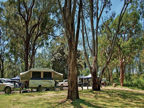 Korsmans Landing Campground And Picnic Area - Tourism Noosa 4