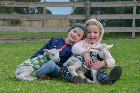 Narnu  Farm (Farm Stay/ School Camp) - Tourism Noosa 0