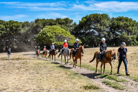 Narnu  Farm (Farm Stay/ School Camp) - Tourism Noosa 2