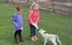 Narnu  Farm (Farm Stay/ School Camp) - thumb 4