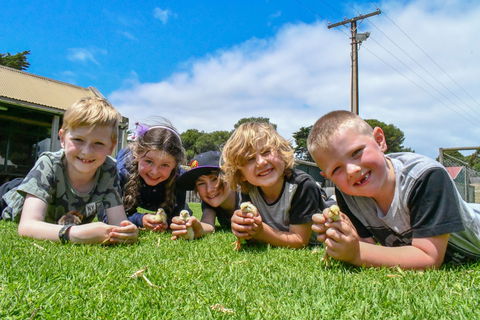 Narnu  Farm (Farm Stay/ School Camp) - Tourism Noosa 7