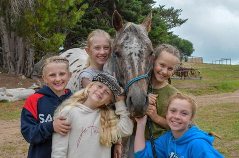 Narnu  Farm (Farm Stay/ School Camp) - Tourism Noosa 8