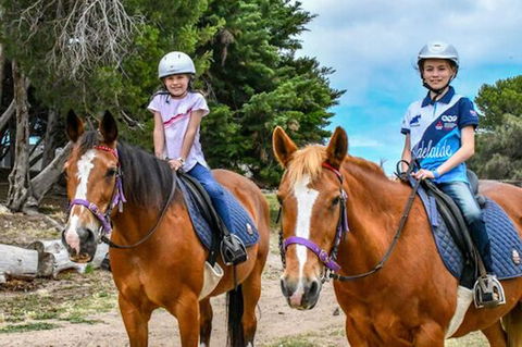 Narnu  Farm (Farm Stay/ School Camp) - Tourism Noosa 9