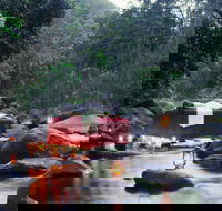 nightfall  camp - Tourism Noosa