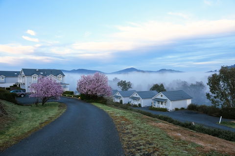 Nimbo Fork - Tourism Noosa 9