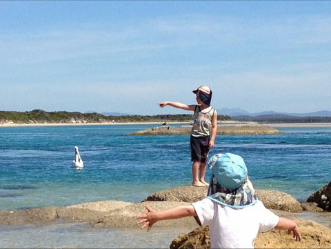 North East River Camping Ground - Tourism Noosa 0