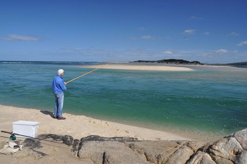 North East River Camping Ground - Tourism Noosa 4