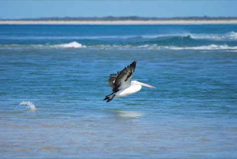 North East River Camping Ground - Tourism Noosa 5