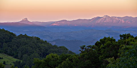 O'Reilly's Rainforest Retreat - Tourism Noosa 1