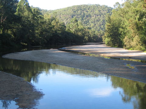 The Lodge Colo River - Tourism Noosa 0