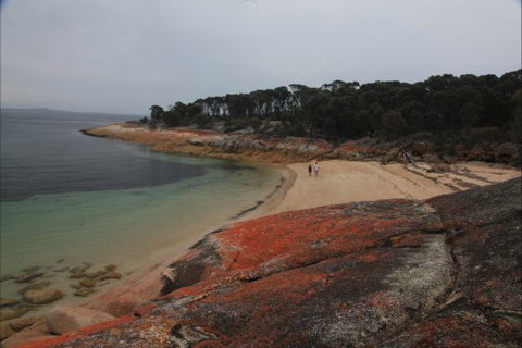 Trousers Point Camping Ground - Tourism Noosa 1