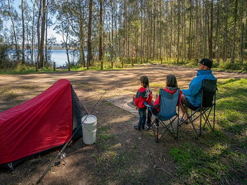 Bungarie Bay Campground - Tourism Noosa 1