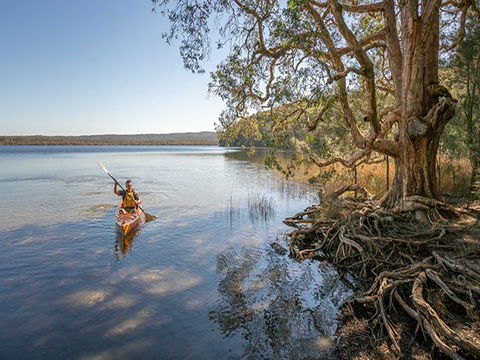 Bungarie Bay Campground - Tourism Noosa 3