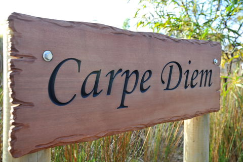 Carpe Diem - Tourism Noosa 0