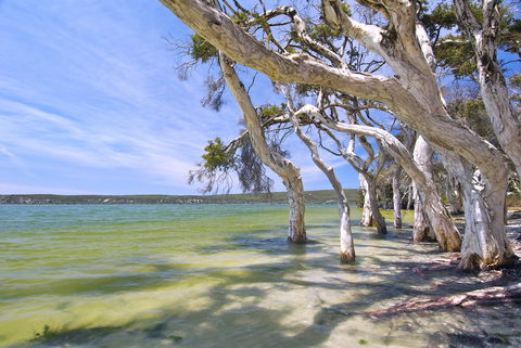 Fanny Cove Camp At Stokes National Park - Tourism Noosa 0