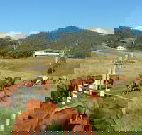 Farringdon Homestead - Tourism Noosa