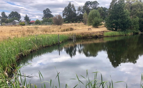 Hamlet Downs Country Accommodation - Tourism Noosa 7