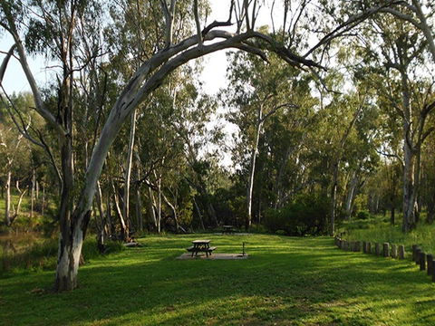 Kookibitta Campground - Tourism Noosa 0