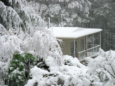 Lyrebird Cottages - Tourism Noosa 2