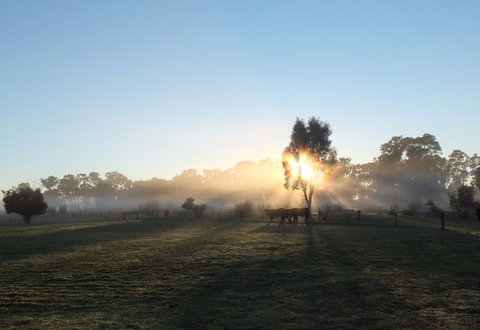Mackereth's Hedon Farm - Tourism Noosa 1
