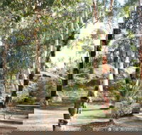 Bald Hill  Camp at Avon Valley National Park - Tourism Noosa