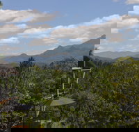 Ecoasis - Tourism Noosa