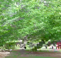 Hill End Holiday Ranch - Tourism Noosa