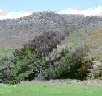 Jessica's Guest House and Vineyard - Tourism Noosa