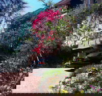 Linley House Bed and Breakfast - Tourism Noosa