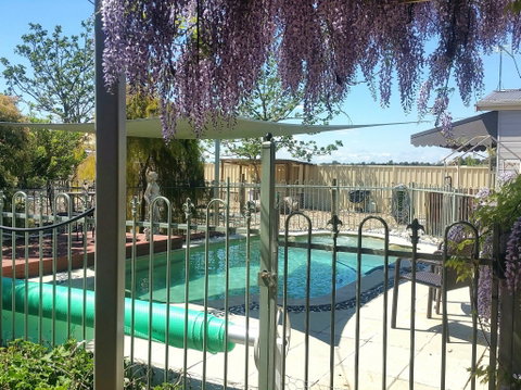 Must Love Dogs B&B And Self-Contained Cottage - Tourism Noosa 0