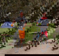 Ngarigo campground - Tourism Noosa