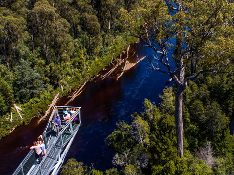 Tahune Adventures Tasmania - Lodge And Cabin - Tourism Noosa 1