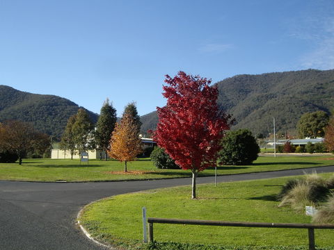 Talbingo Country Club - Tourism Noosa 1