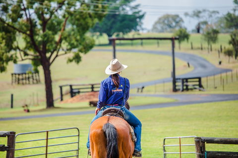 Tobruk Sydney Farm Stay - Tourism Noosa 0
