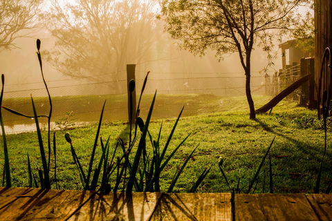 Tobruk Sydney Farm Stay - Tourism Noosa 1