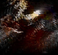 Billy Grace Reserve - Tourism Noosa