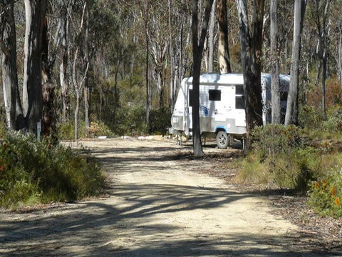 Blatherarm Campground And Picnic Area - Tourism Noosa 1