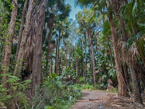 Brambles Green Campground - Tourism Noosa 1