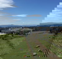 Cheeky Fox Retreat - Tourism Noosa