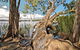 Dees Corner Campground - thumb 2