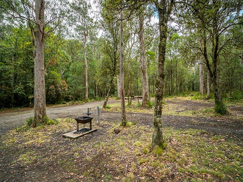 Devils Hole Campground - Tourism Noosa 2