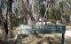 Lemon Tree Flat Campground - thumb 0