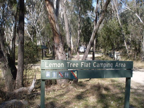 Lemon Tree Flat Campground - Tourism Noosa 0