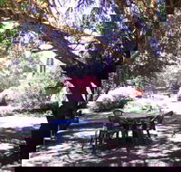 Morse Cottage - Tourism Noosa