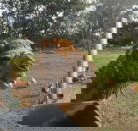 Mudgees Getaway Cottages - Tourism Noosa